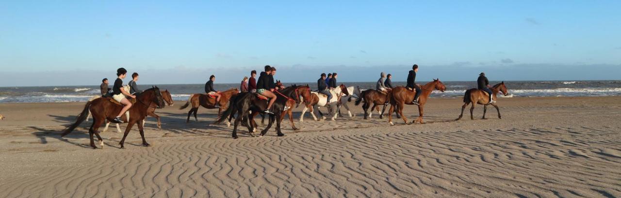 Punto Playa Apartahotel Villa Gesell